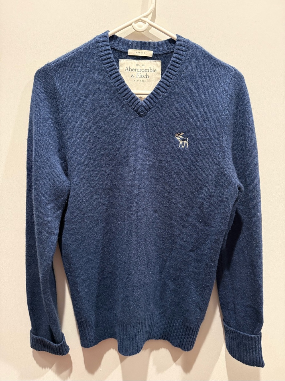 Abercrombie and Fitch cashmere muscle pullover men’s size Large.